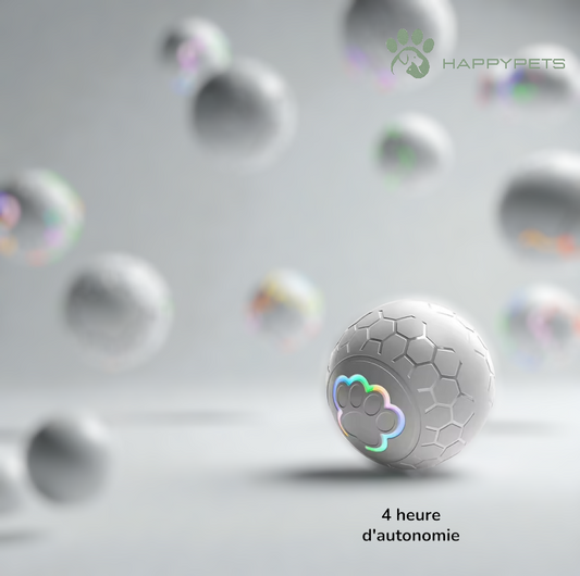 SmartBall pour chien