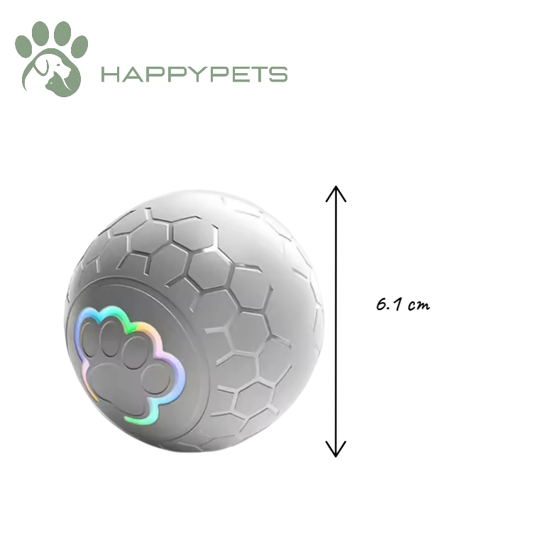 SmartBall pour chien